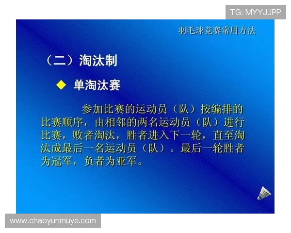 武汉羽毛球队在精英赛中的意识表现分析与总结